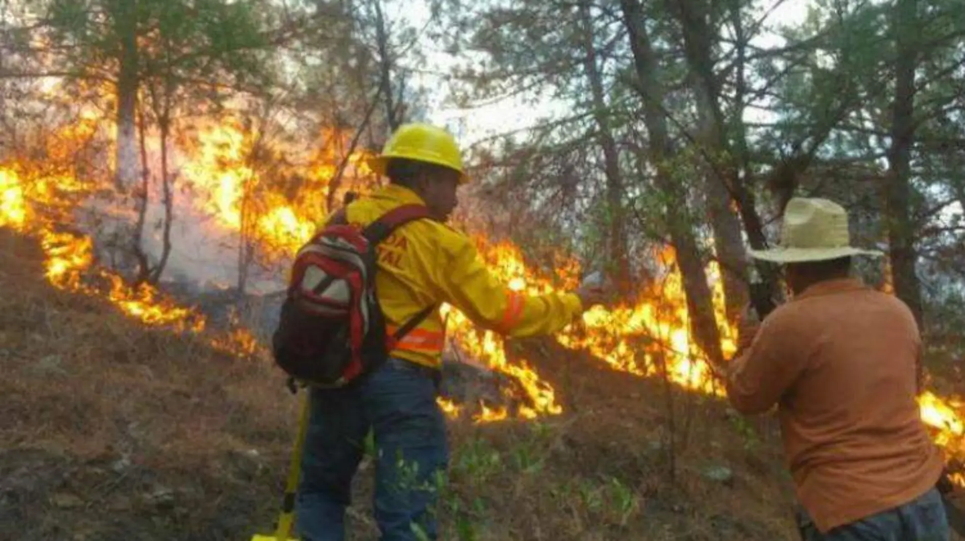 incendios forestales oaxaca ESPECIAL